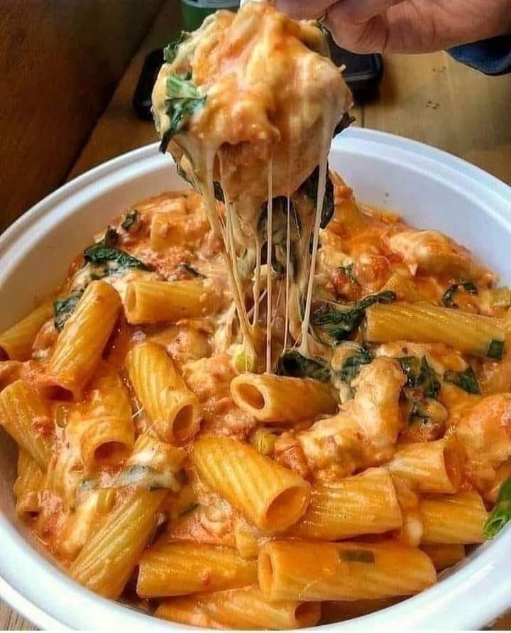 Pasta with Neapolitan sauce, mozzarella cheese and basil